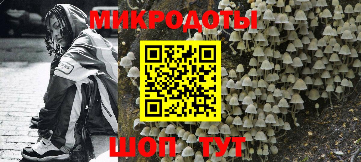 Псилоцибиновые грибы Magic Shrooms  Псилоцибиновые грибы GOLDEN TEACHER  где найти   Вход с VPN  Омск 